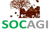Socagi